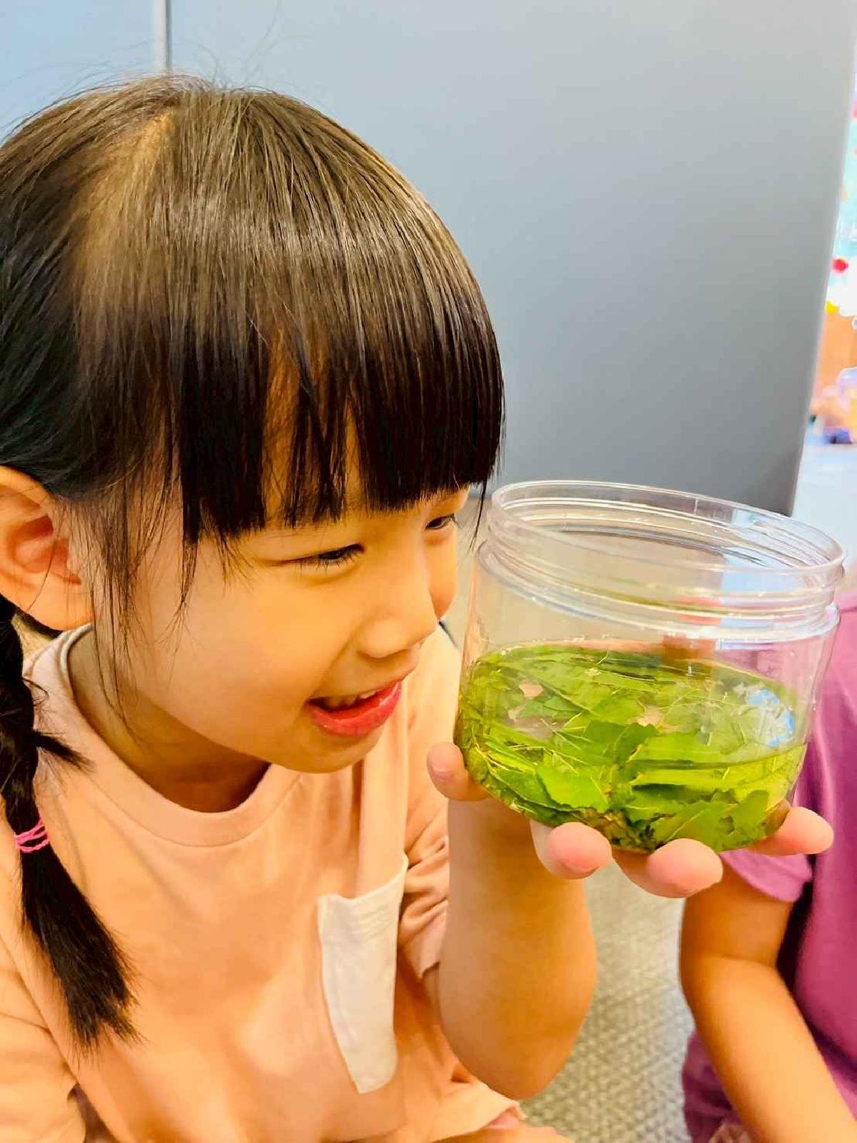 line_album_樹與葉_251023_231 line_album_樹與葉_251023_231