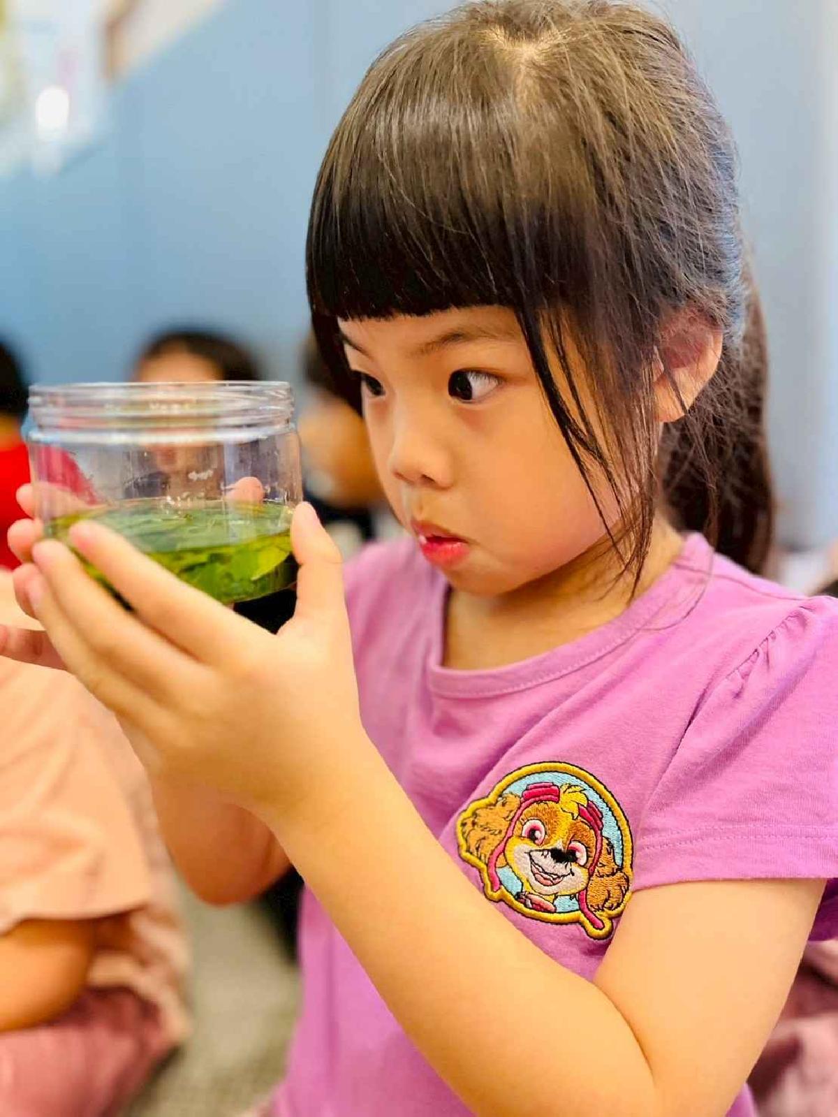 line_album_樹與葉_251023_232 line_album_樹與葉_251023_232