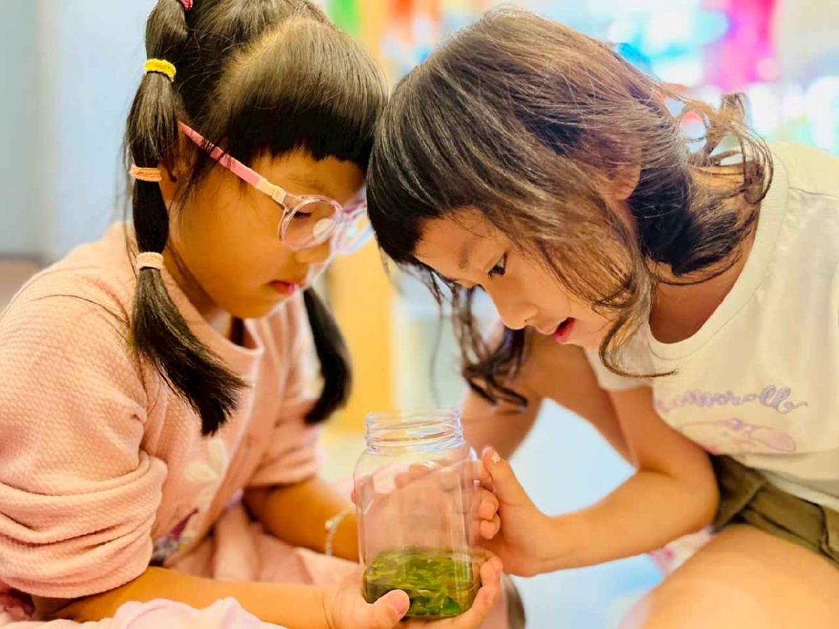 line_album_樹與葉_251023_235 line_album_樹與葉_251023_235