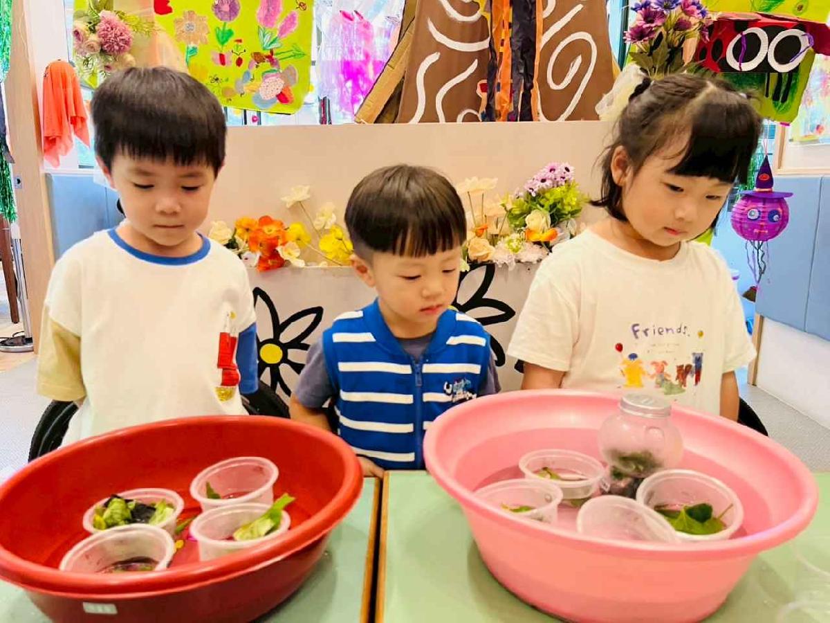 line_album_樹與葉_251029_252 line_album_樹與葉_251029_252