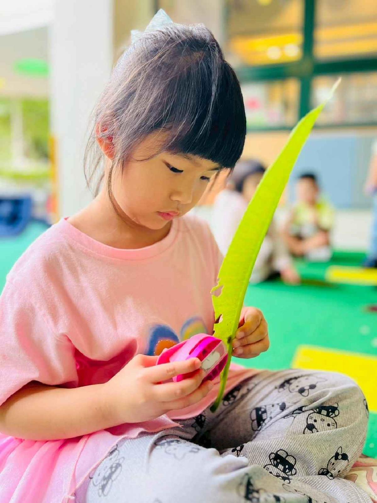 line_album_樹與葉_251023_140 line_album_樹與葉_251023_140