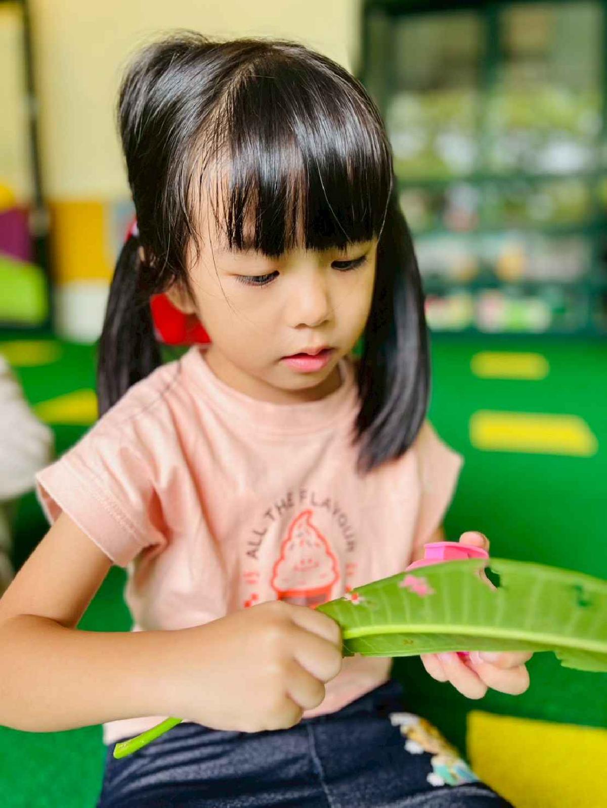 line_album_樹與葉_251023_141 line_album_樹與葉_251023_141