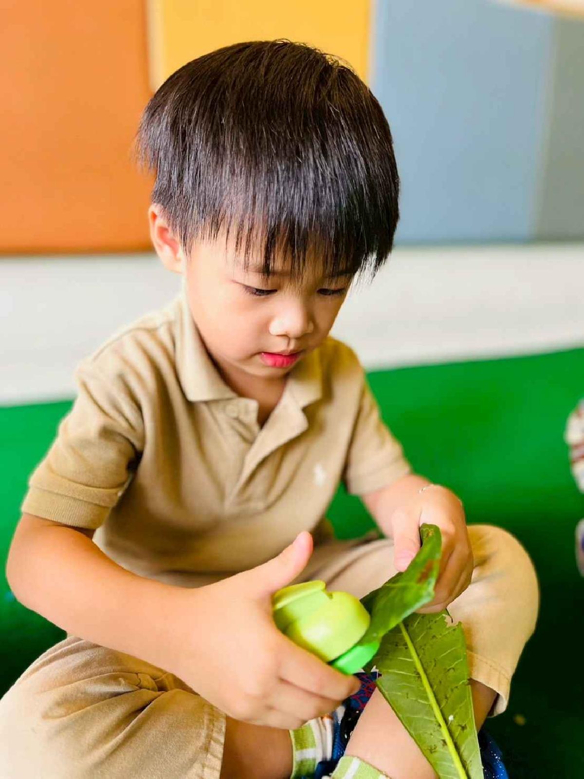 line_album_樹與葉_251023_147 line_album_樹與葉_251023_147