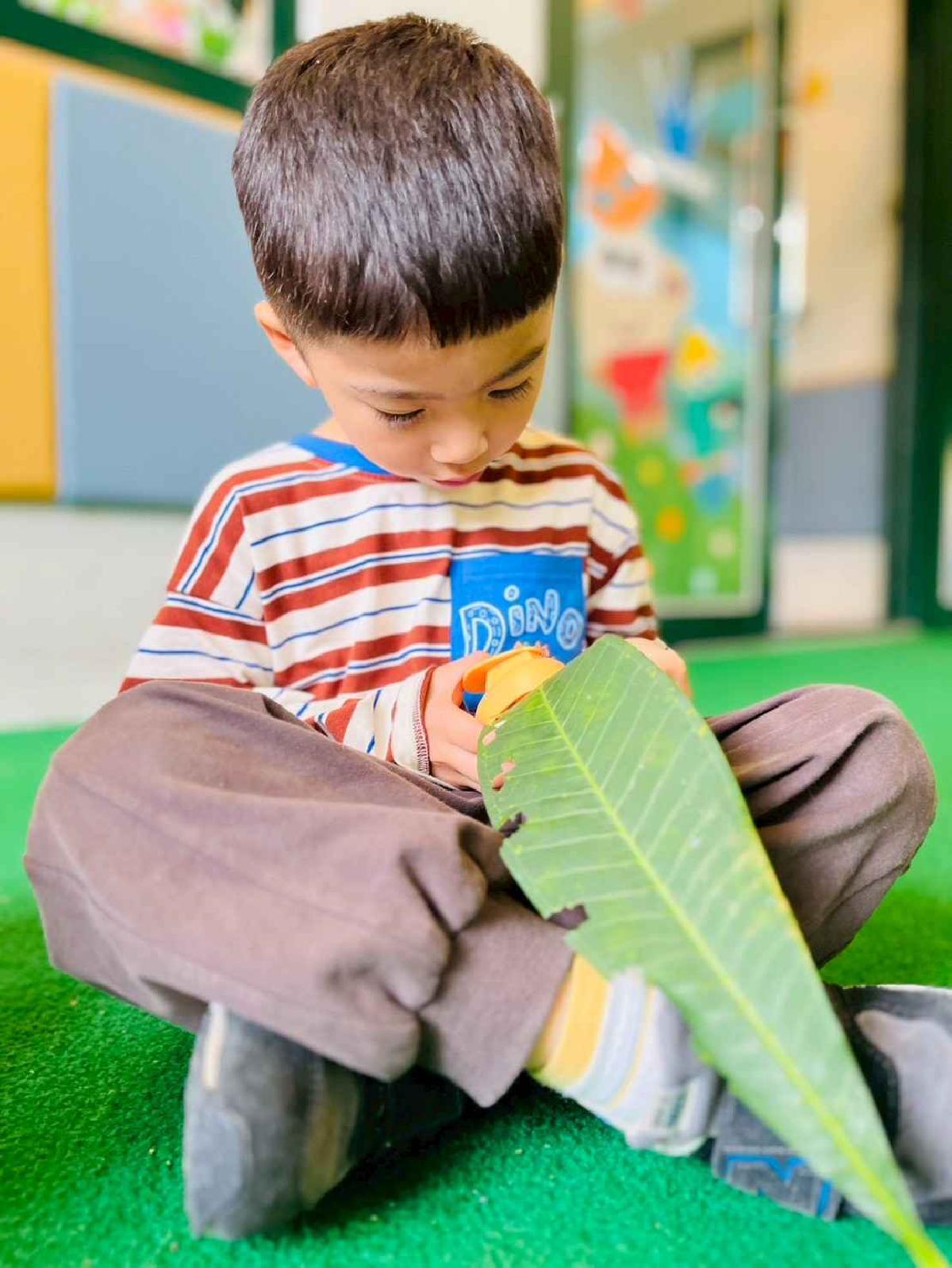 line_album_樹與葉_251023_148 line_album_樹與葉_251023_148