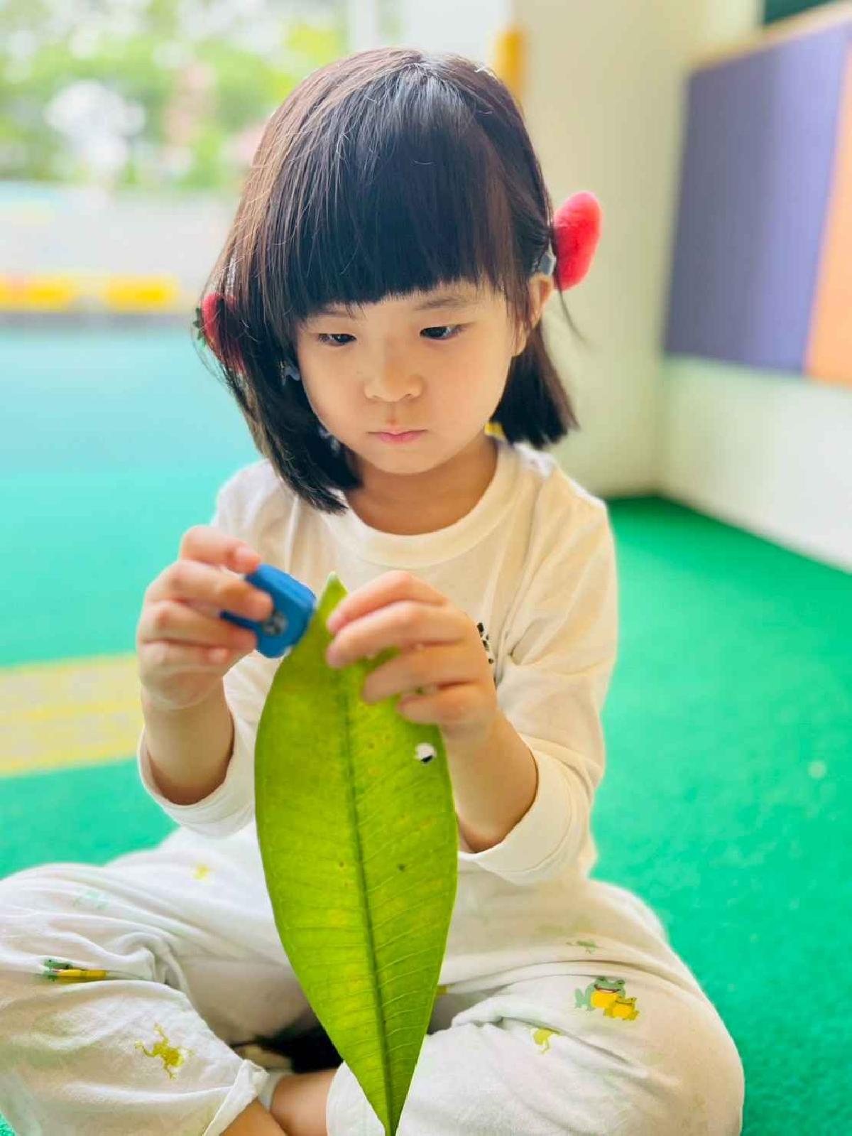 line_album_樹與葉_251023_144 line_album_樹與葉_251023_144