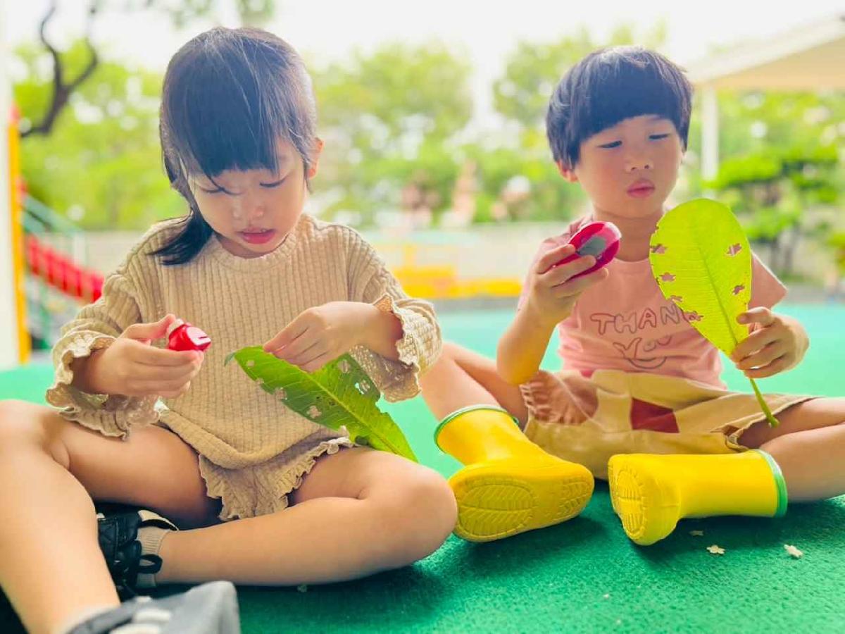 line_album_樹與葉_251023_150 line_album_樹與葉_251023_150