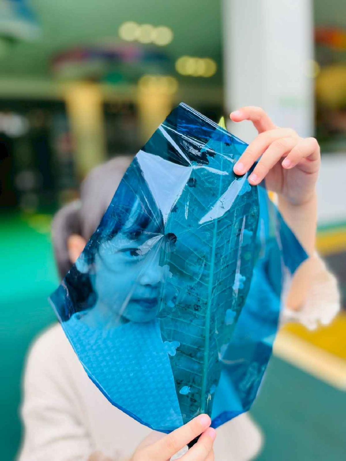 line_album_樹與葉_251023_167 line_album_樹與葉_251023_167