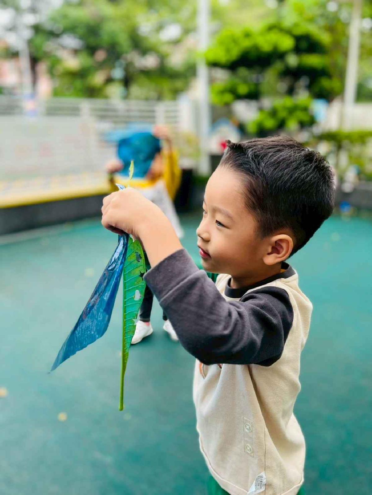 line_album_樹與葉_251023_171 line_album_樹與葉_251023_171