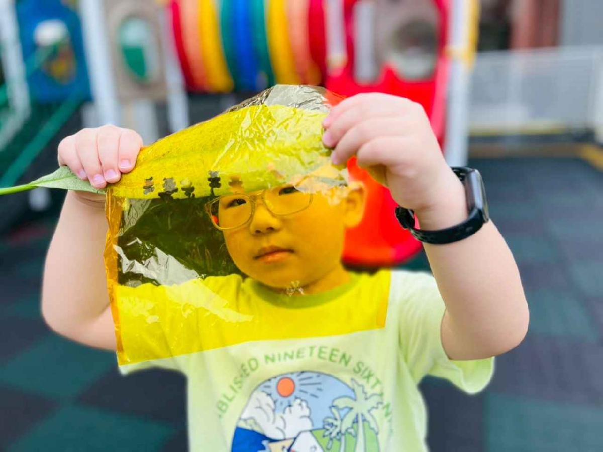 line_album_樹與葉_251023_178 line_album_樹與葉_251023_178