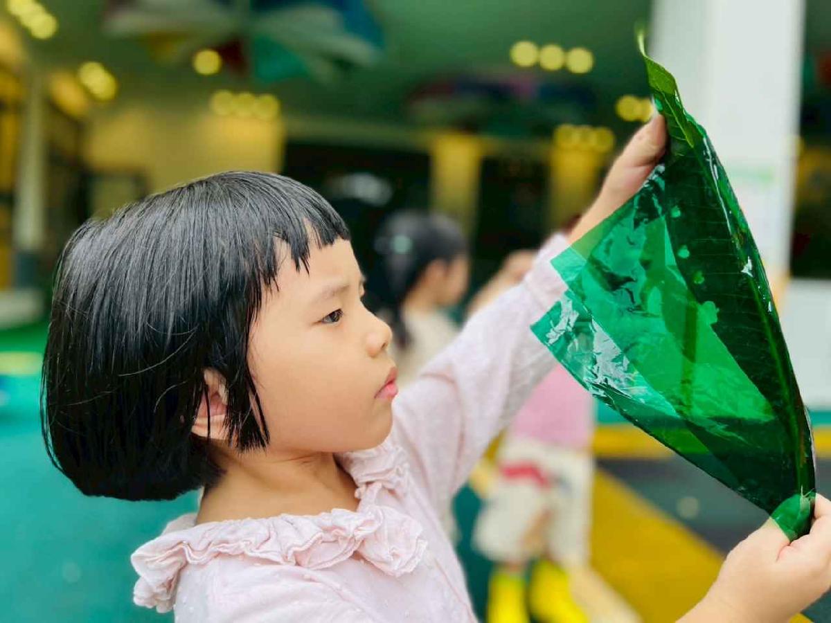 line_album_樹與葉_251023_181 line_album_樹與葉_251023_181