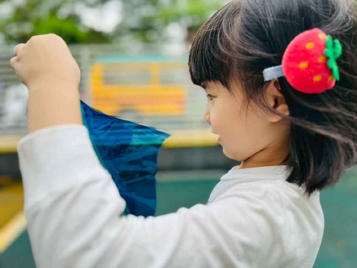 line_album_樹與葉_251023_193 line_album_樹與葉_251023_193