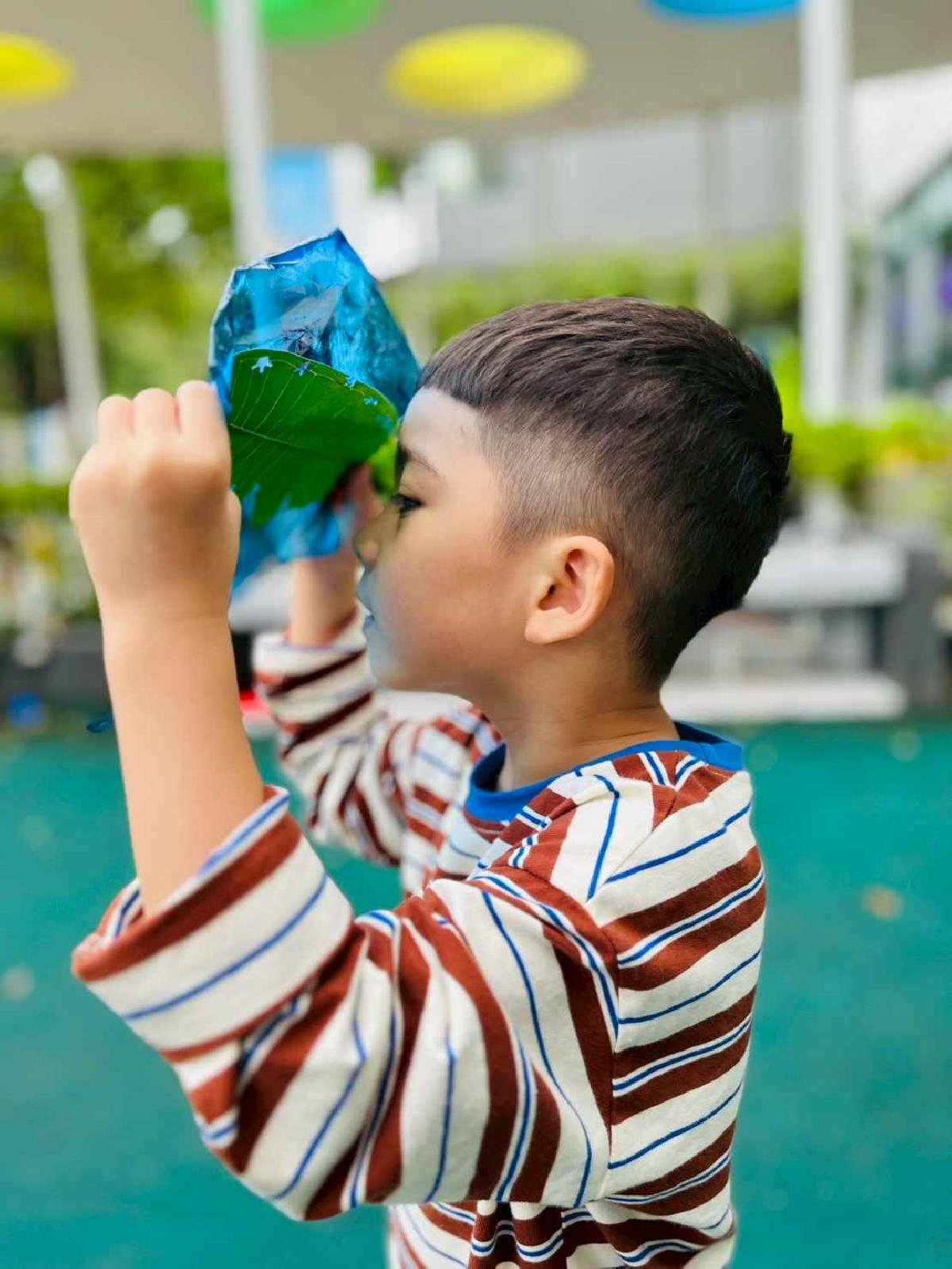 line_album_樹與葉_251023_201 line_album_樹與葉_251023_201