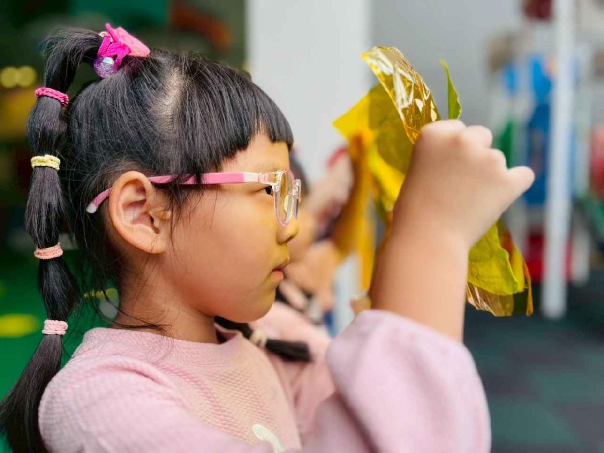 line_album_樹與葉_251023_1 line_album_樹與葉_251023_1