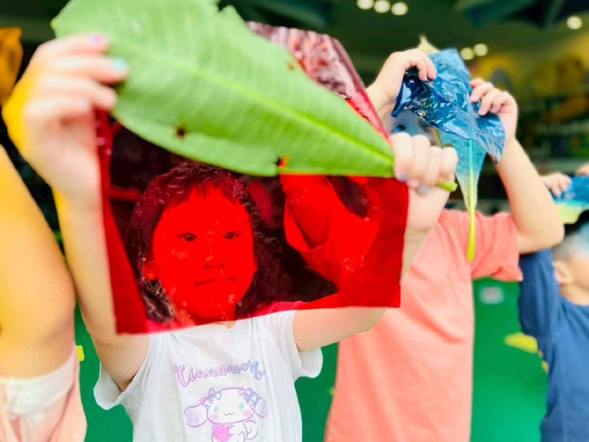 line_album_樹與葉_251023_5 line_album_樹與葉_251023_5