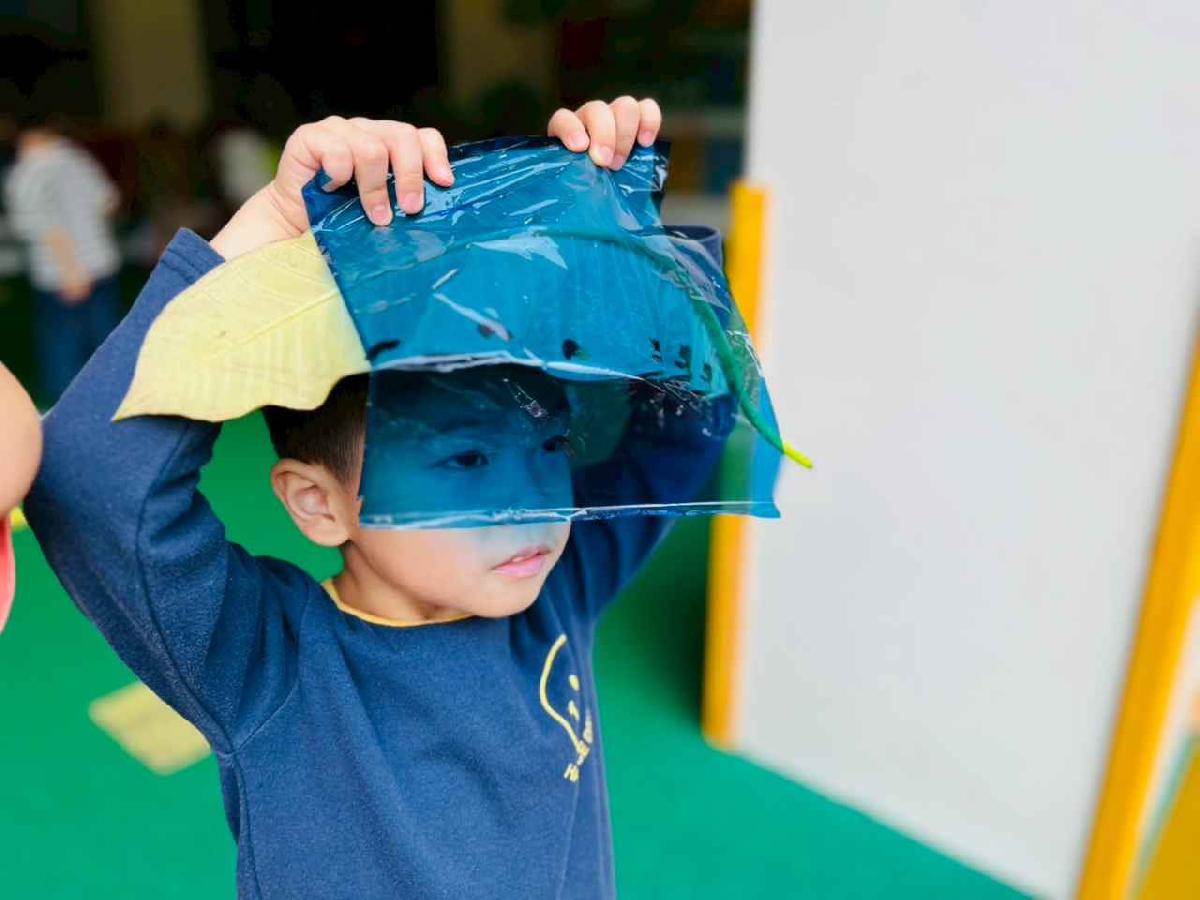 line_album_樹與葉_251023_6 line_album_樹與葉_251023_6