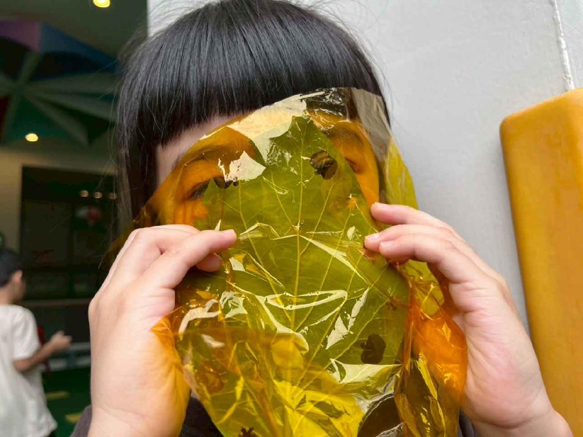 line_album_樹與葉_251023_20 line_album_樹與葉_251023_20