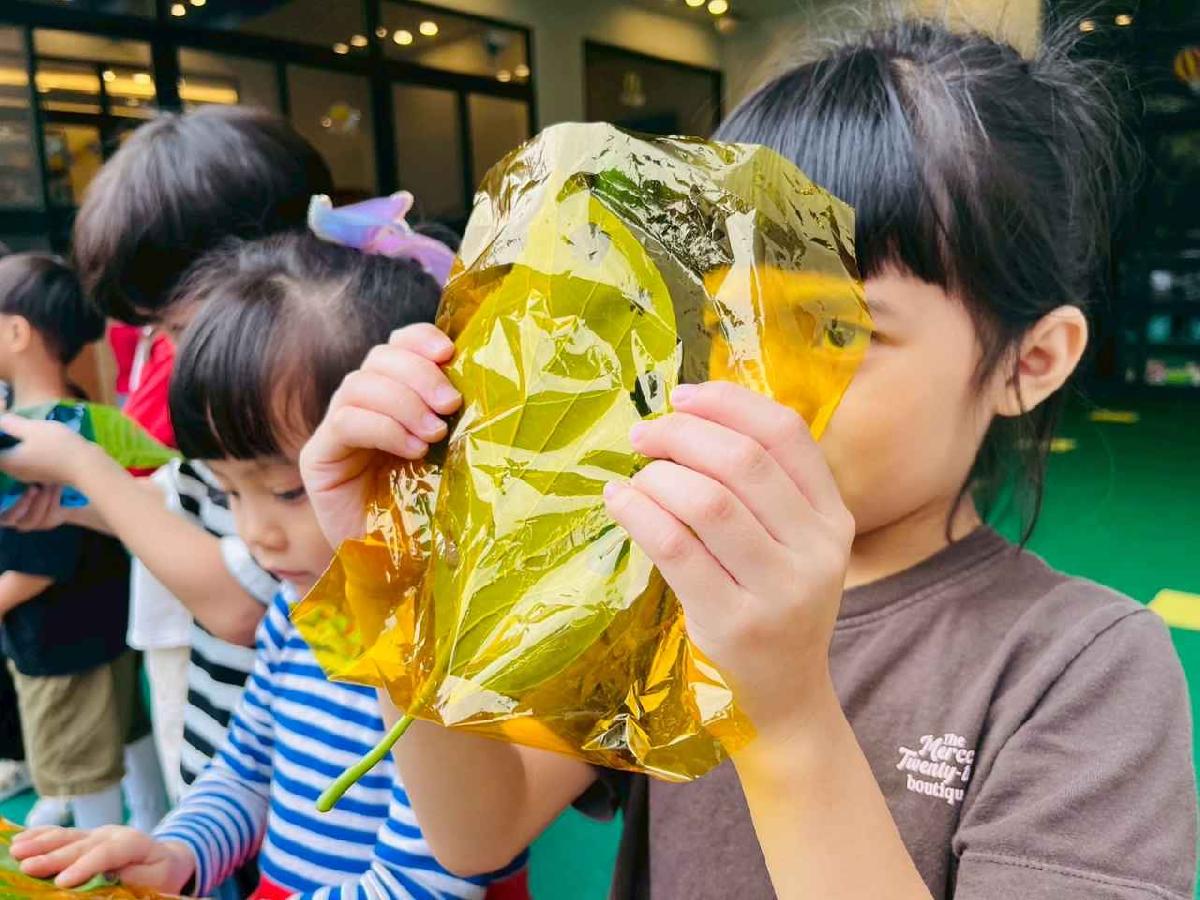 line_album_樹與葉_251023_27 line_album_樹與葉_251023_27