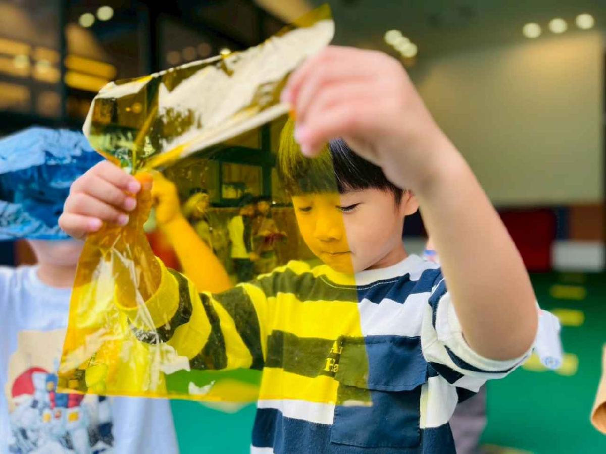 line_album_樹與葉_251023_34 line_album_樹與葉_251023_34