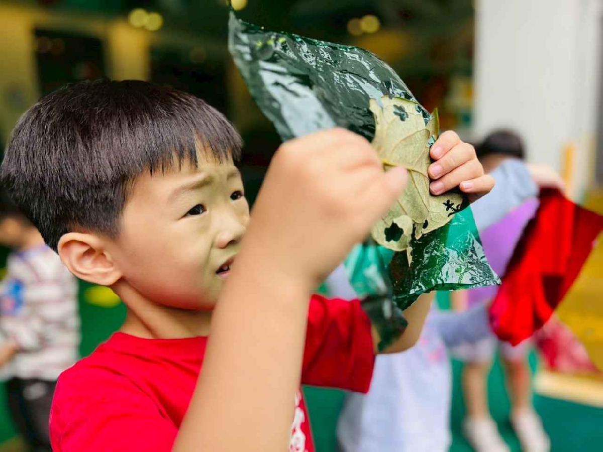 line_album_樹與葉_251023_42 line_album_樹與葉_251023_42