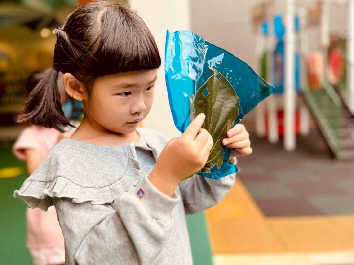 line_album_樹與葉_251023_49 line_album_樹與葉_251023_49