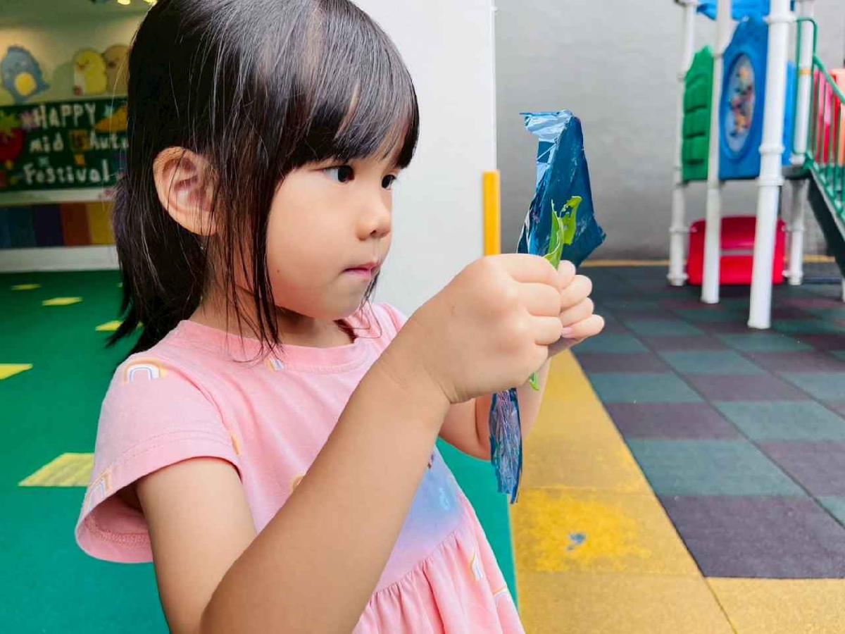 line_album_樹與葉_251023_53 line_album_樹與葉_251023_53