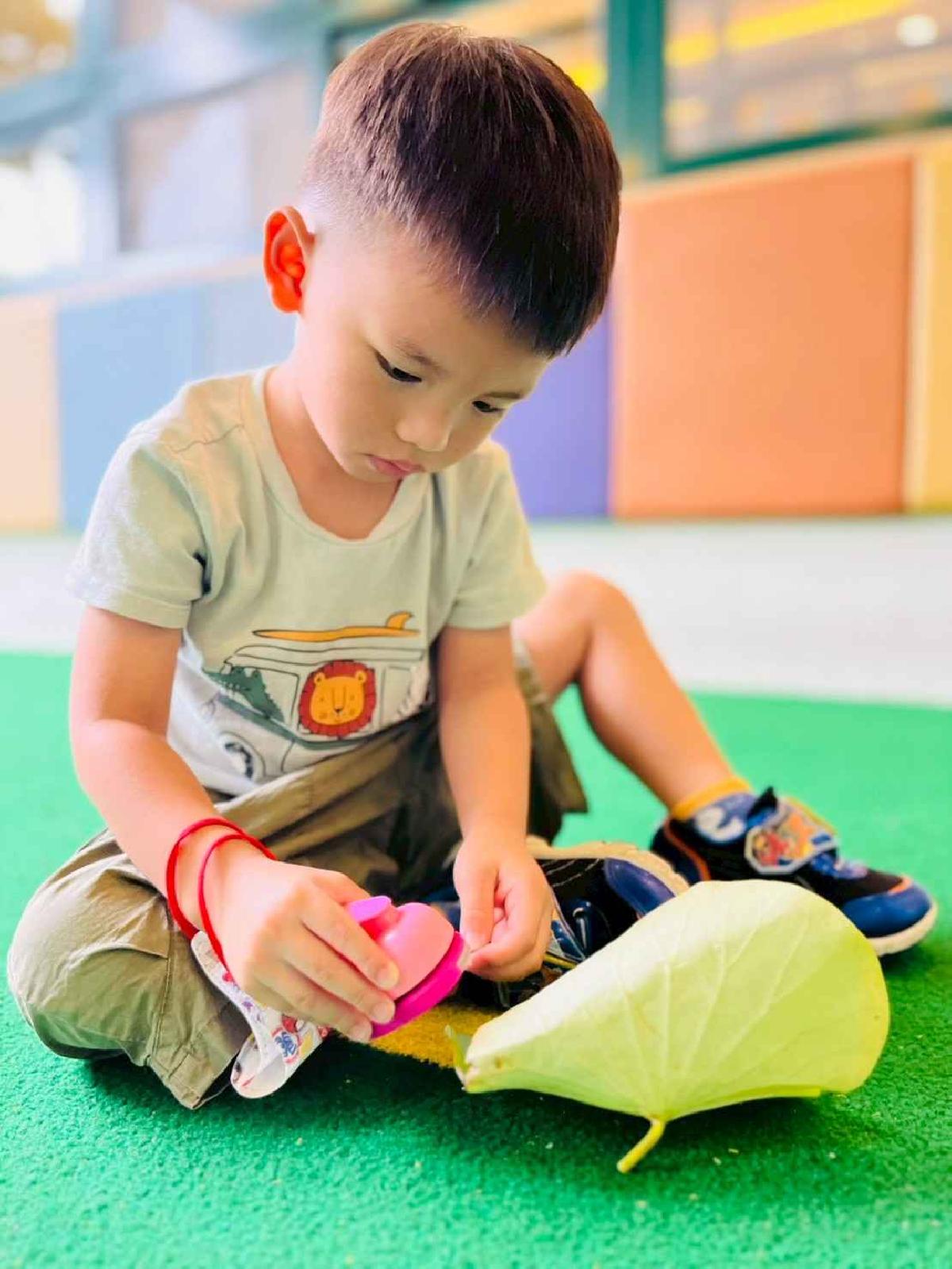 line_album_樹與葉_251023_107 line_album_樹與葉_251023_107