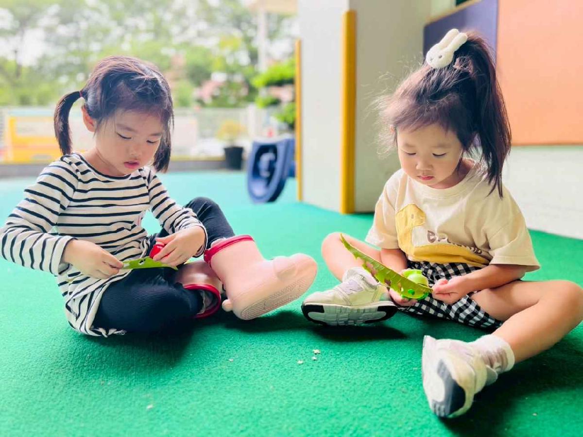 line_album_樹與葉_251023_123 line_album_樹與葉_251023_123