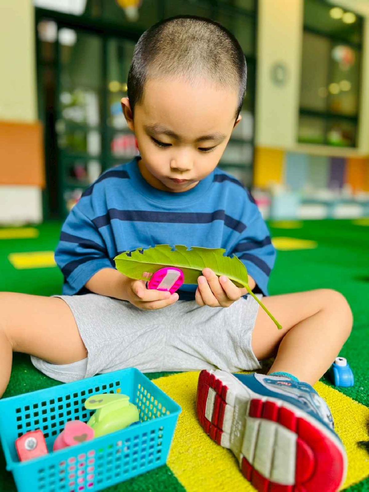 line_album_樹與葉_251023_124 line_album_樹與葉_251023_124