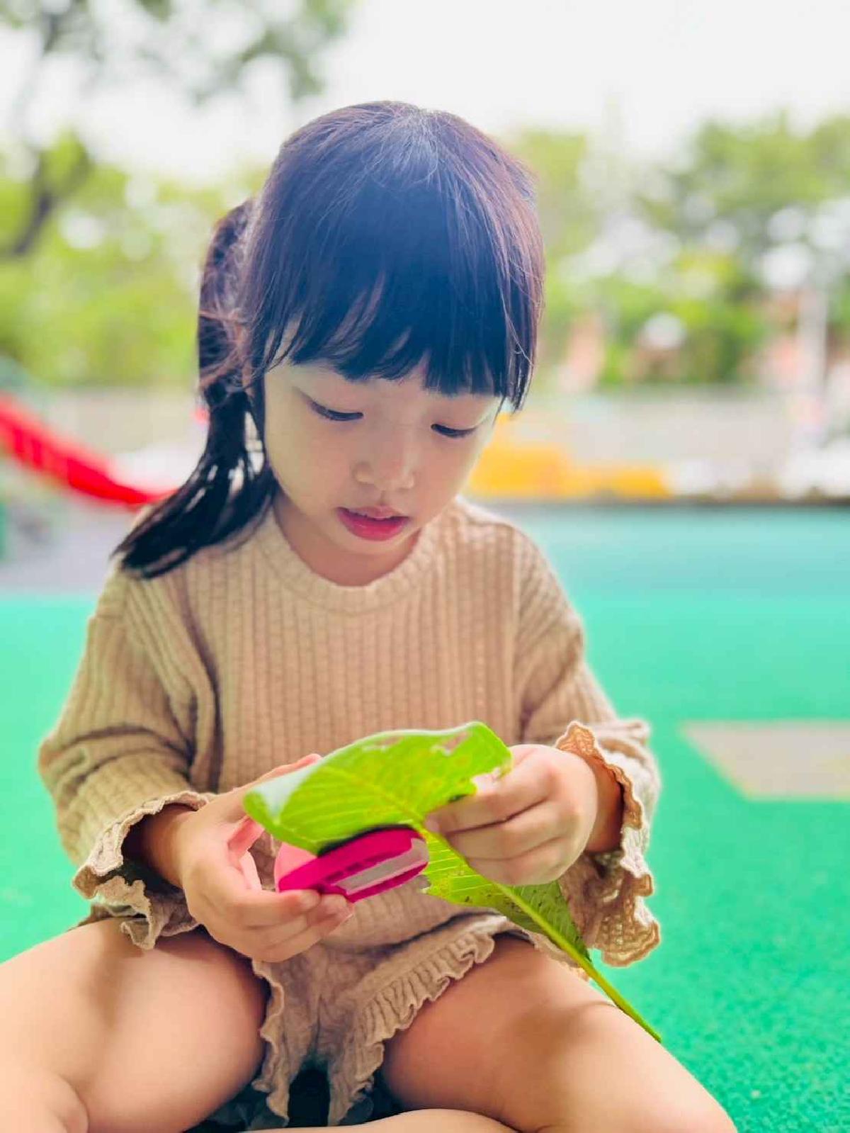 line_album_樹與葉_251023_138 line_album_樹與葉_251023_138