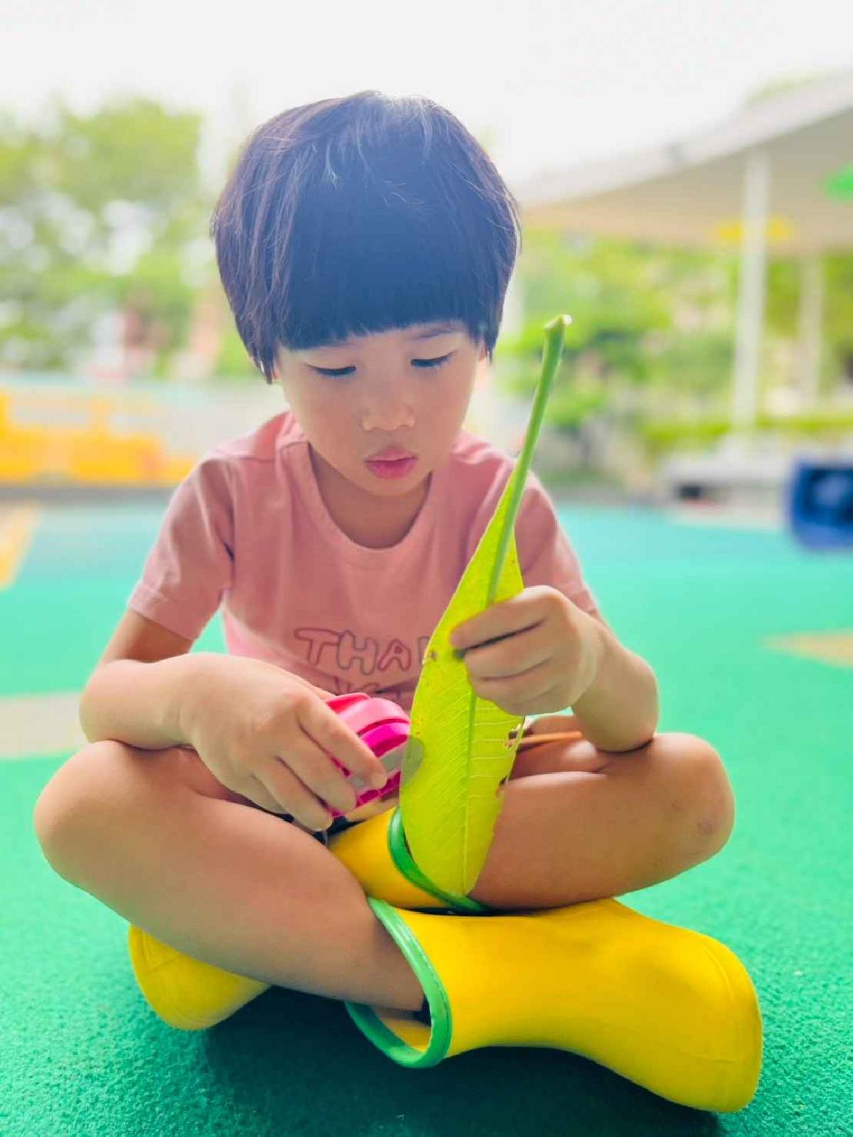 line_album_樹與葉_251023_139 line_album_樹與葉_251023_139