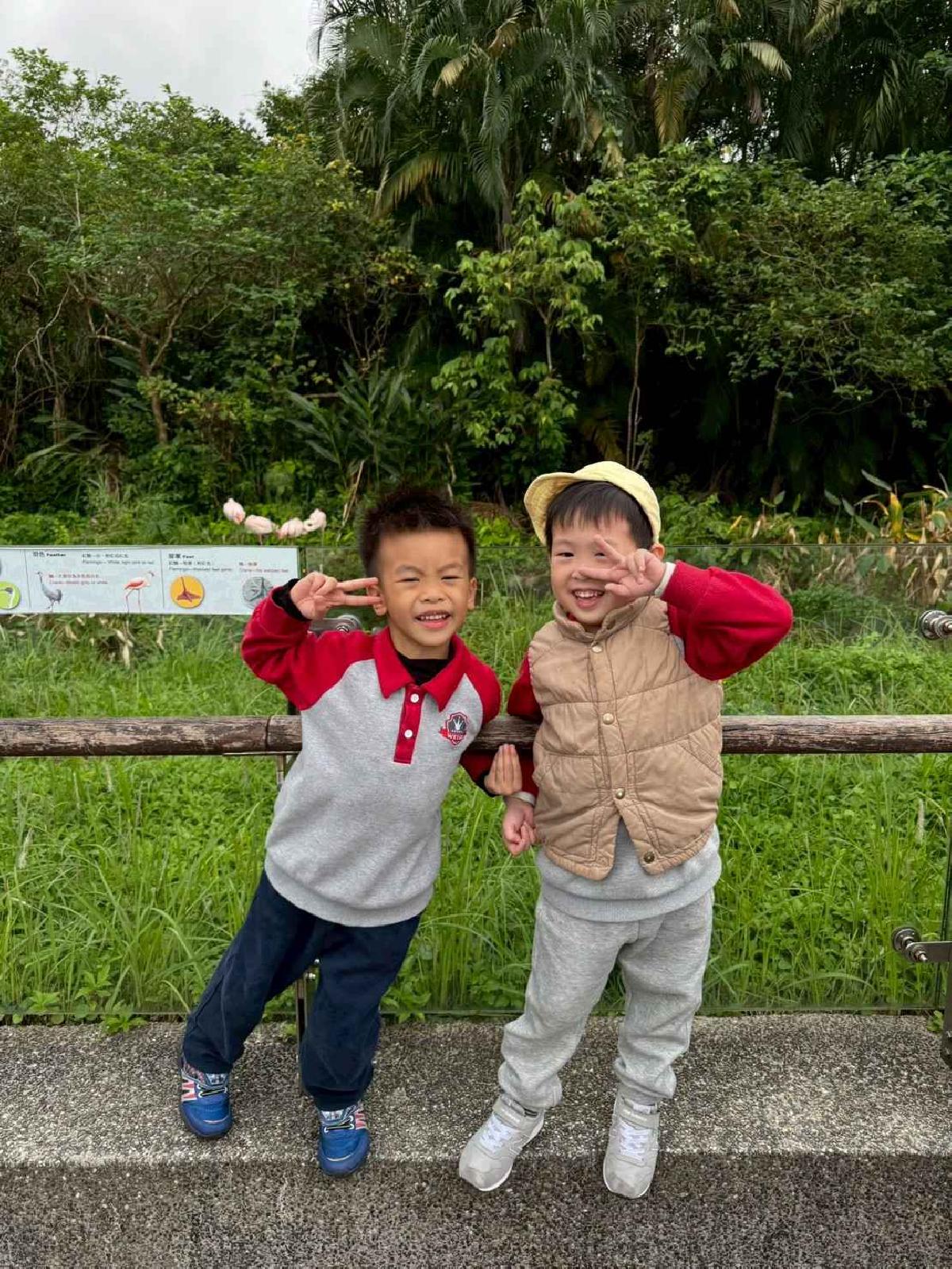 line_album_1141205衣zoo大冒險_251216_14