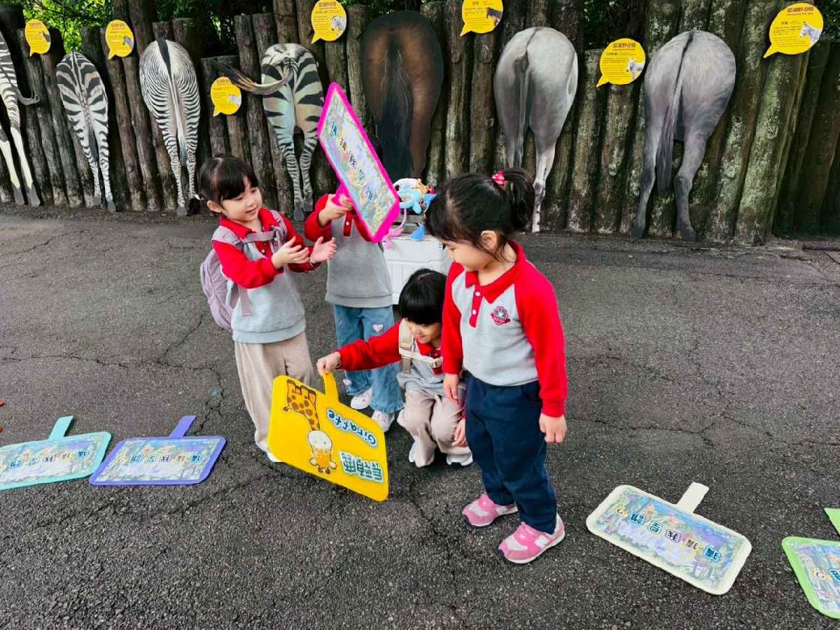 line_album_1141205衣zoo大冒險_251216_3