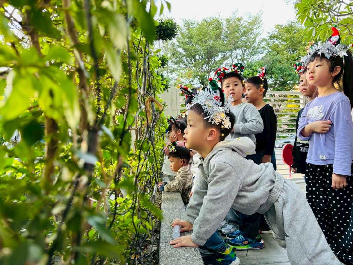 line_album_1141201與08光明弦樂團_251216_60