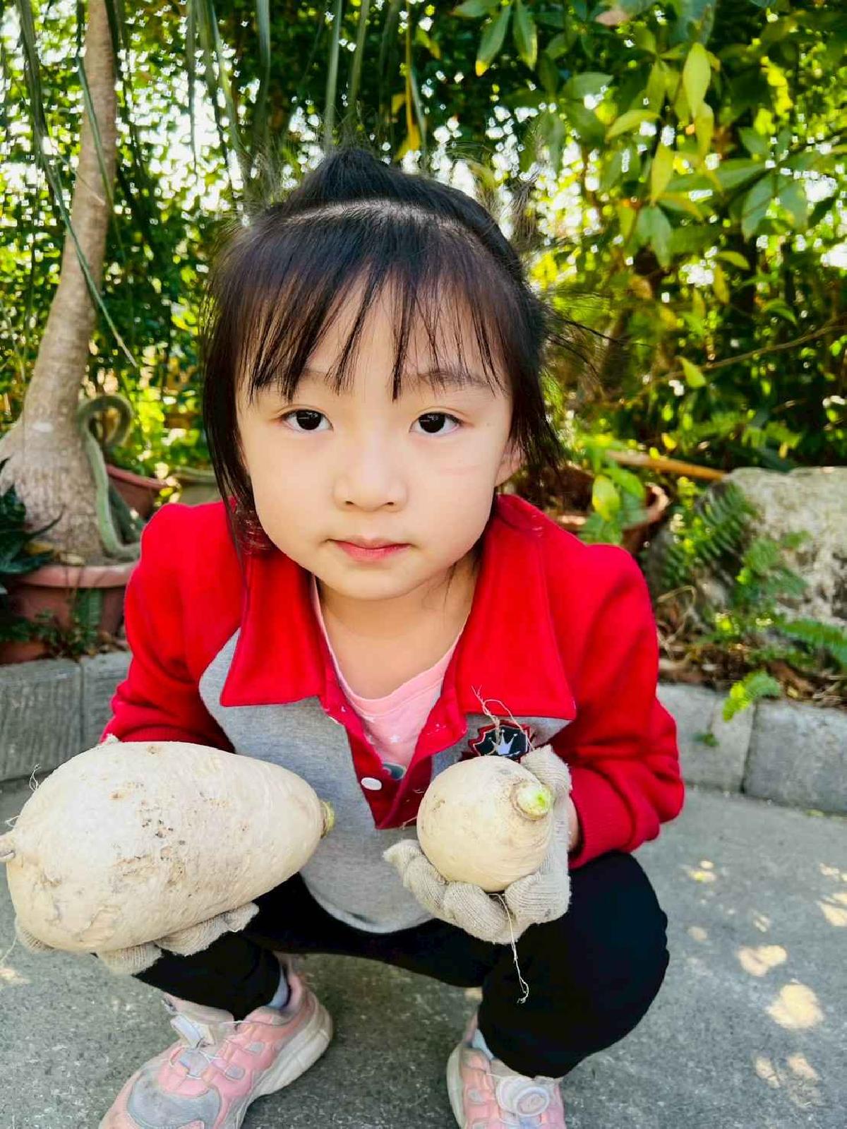 line_album_永哥農莊_260109_264