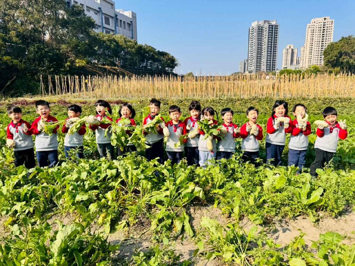 line_album_永哥農莊_260109_411