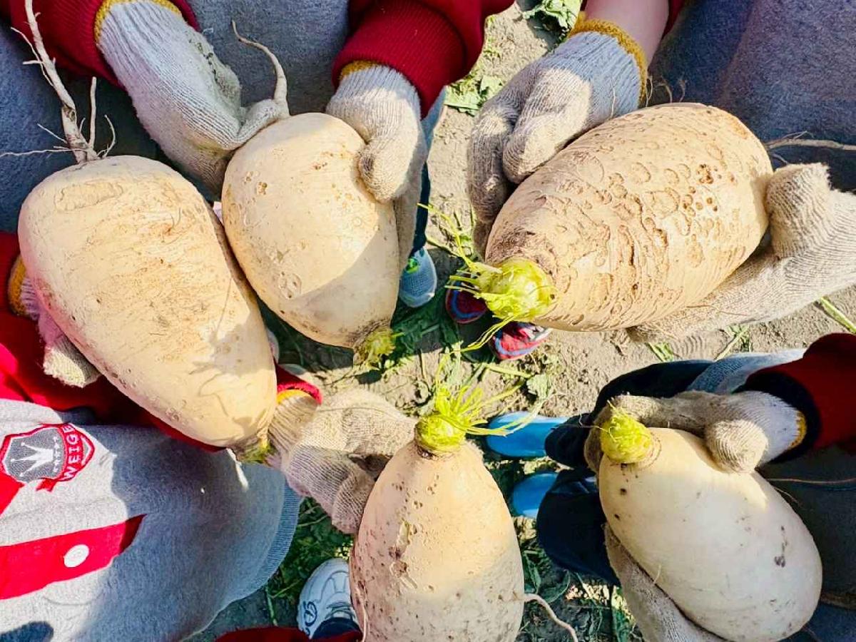 line_album_永哥農莊_260109_117