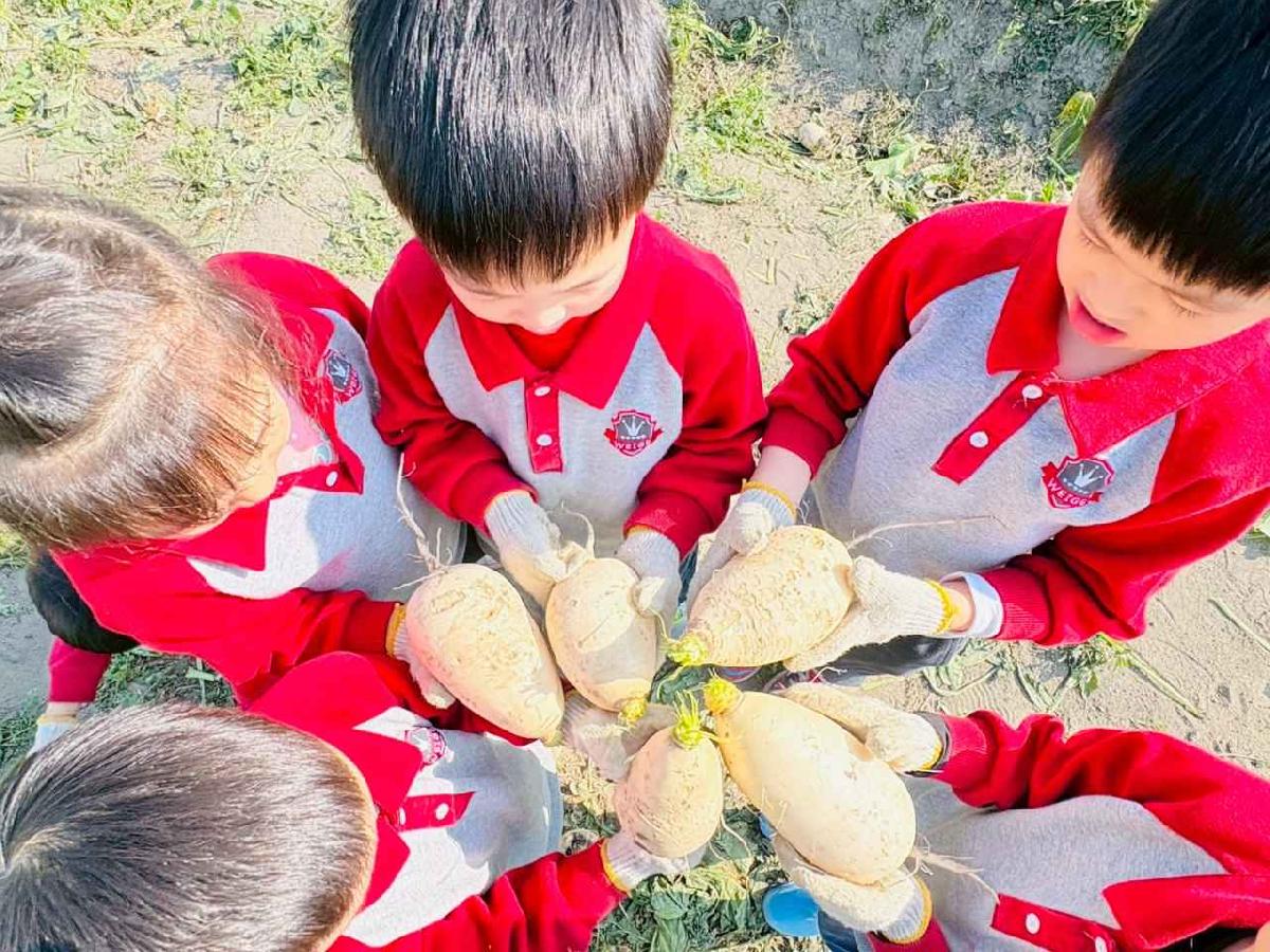 line_album_永哥農莊_260109_118