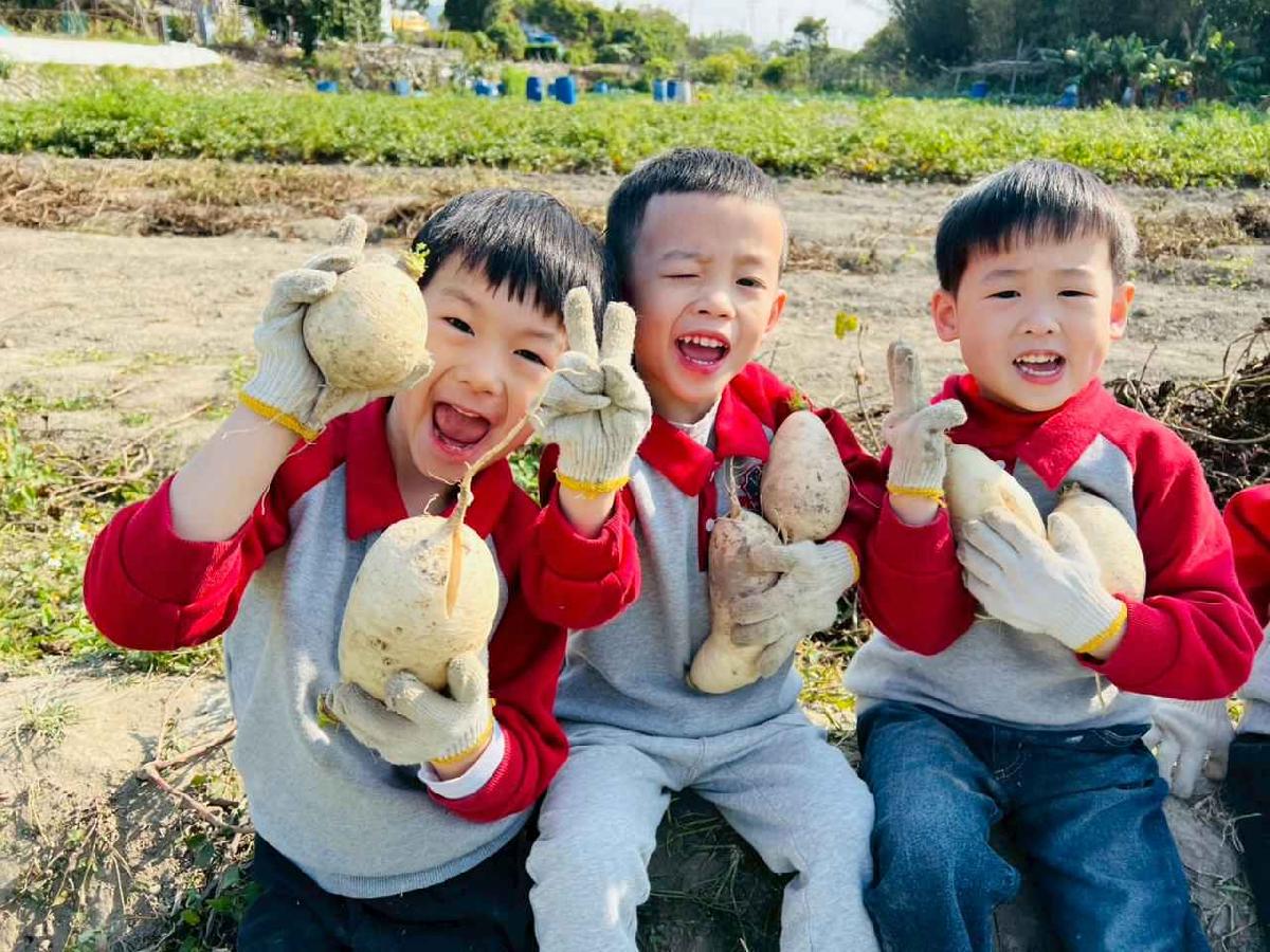 line_album_永哥農莊_260109_252