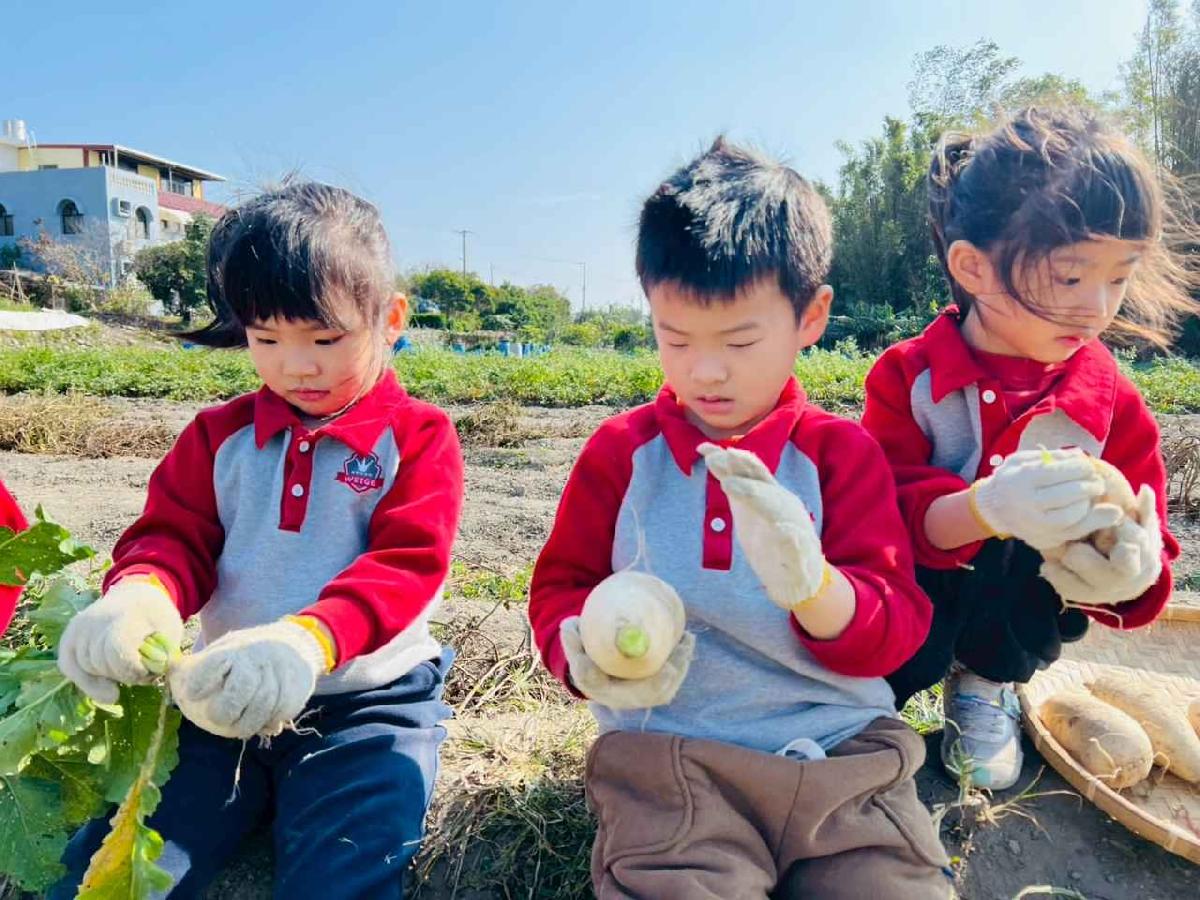 line_album_永哥農莊_260109_245