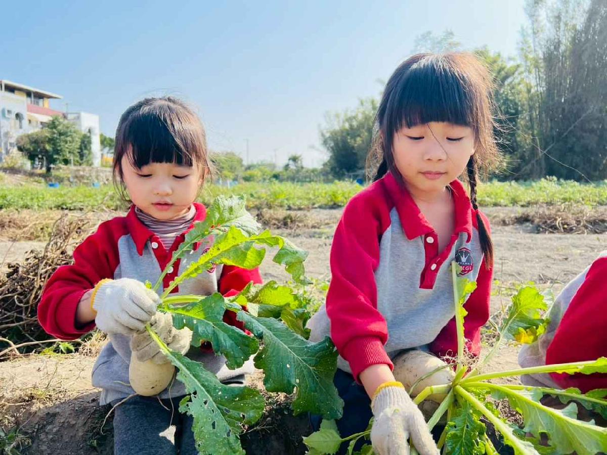 line_album_永哥農莊_260109_248