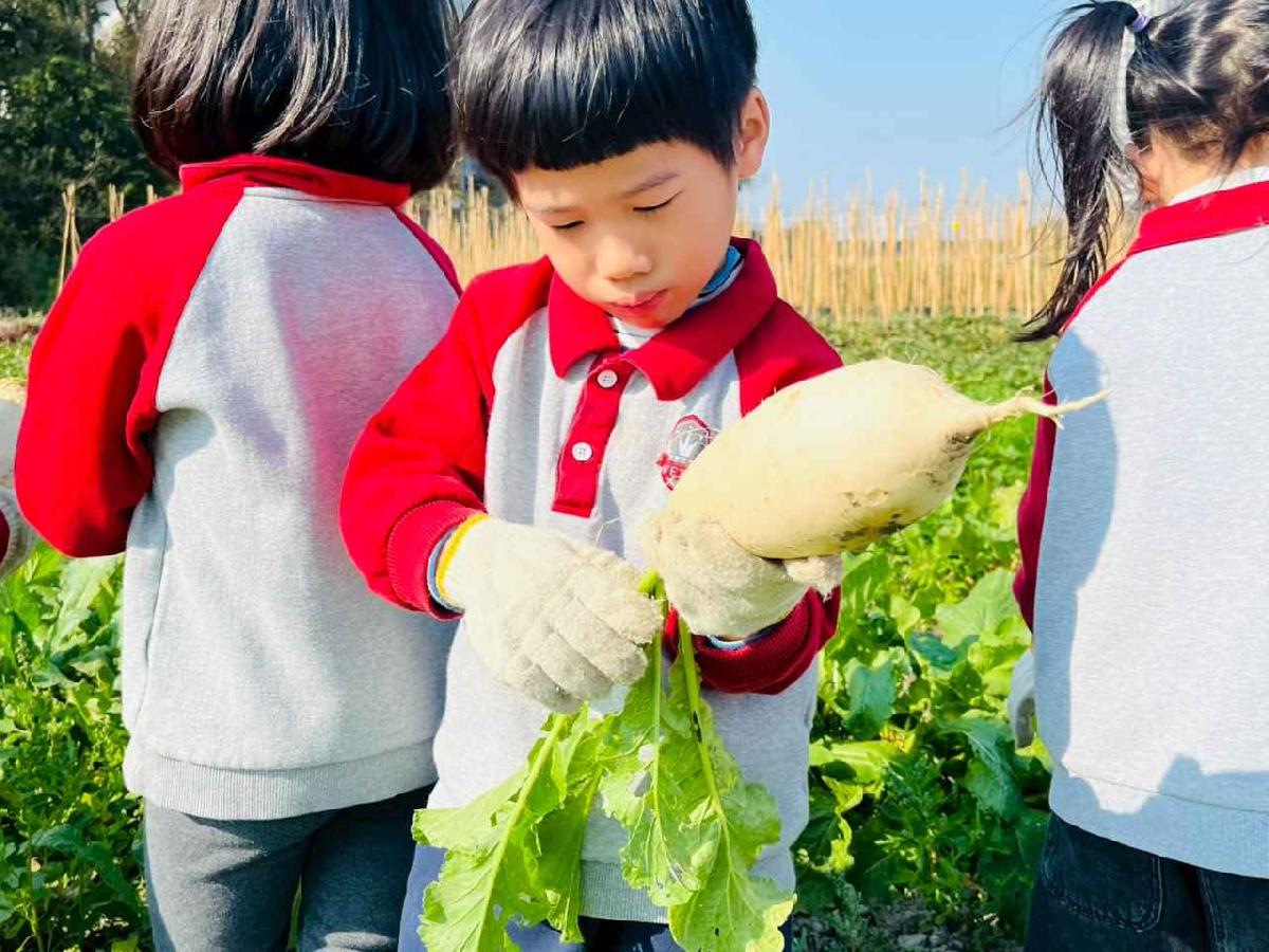 line_album_永哥農莊_260109_88