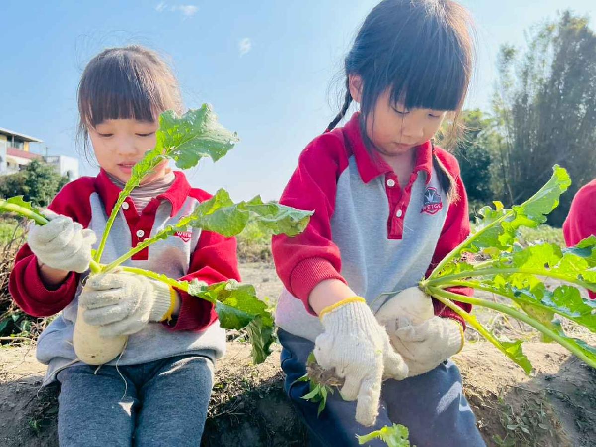 line_album_永哥農莊_260109_91