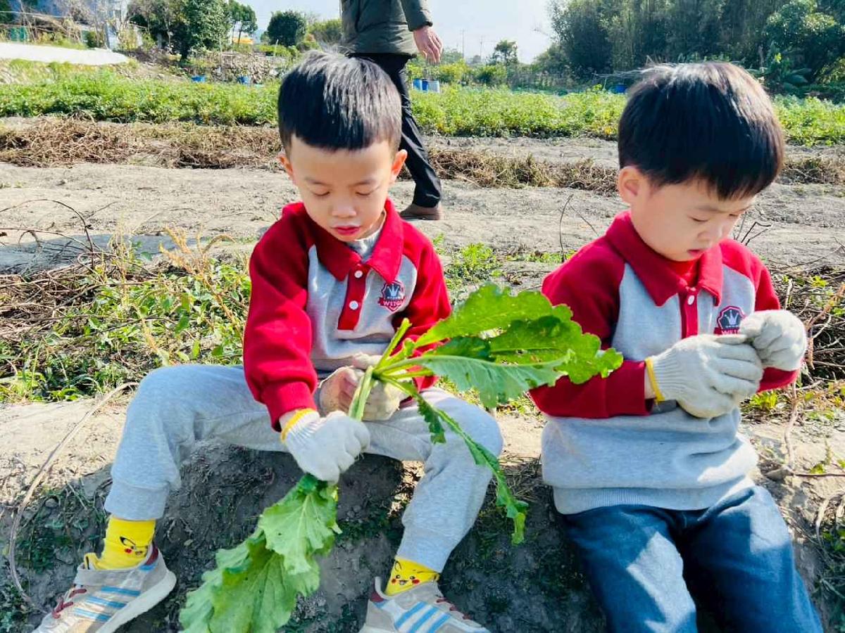 line_album_永哥農莊_260109_239