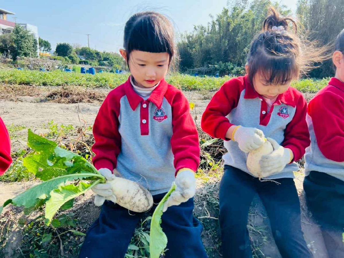 line_album_永哥農莊_260109_240