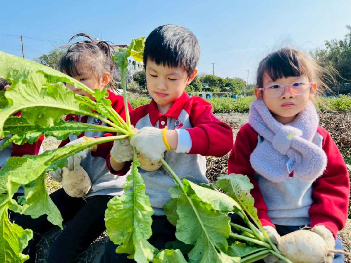 line_album_永哥農莊_260109_241