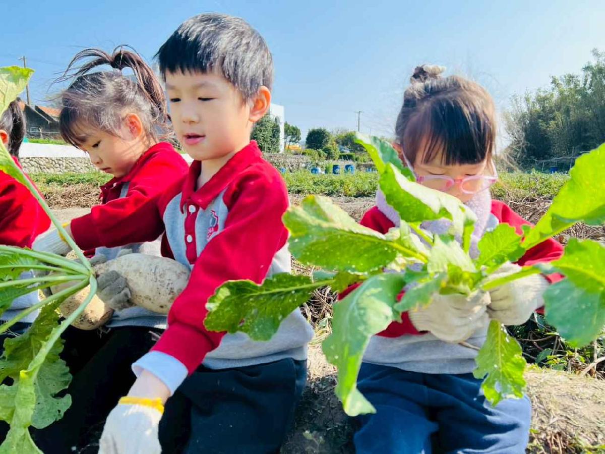 line_album_永哥農莊_260109_242