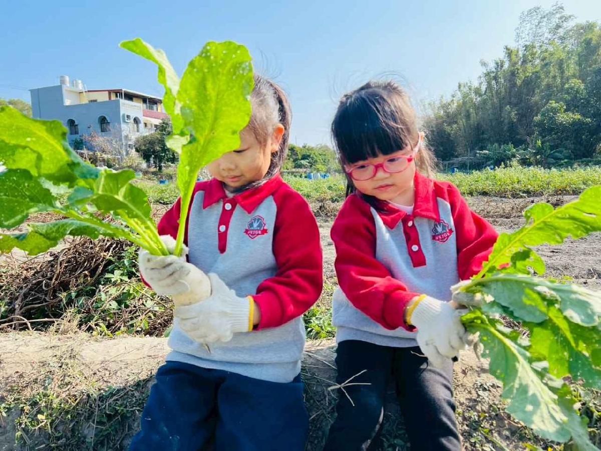 line_album_永哥農莊_260109_243