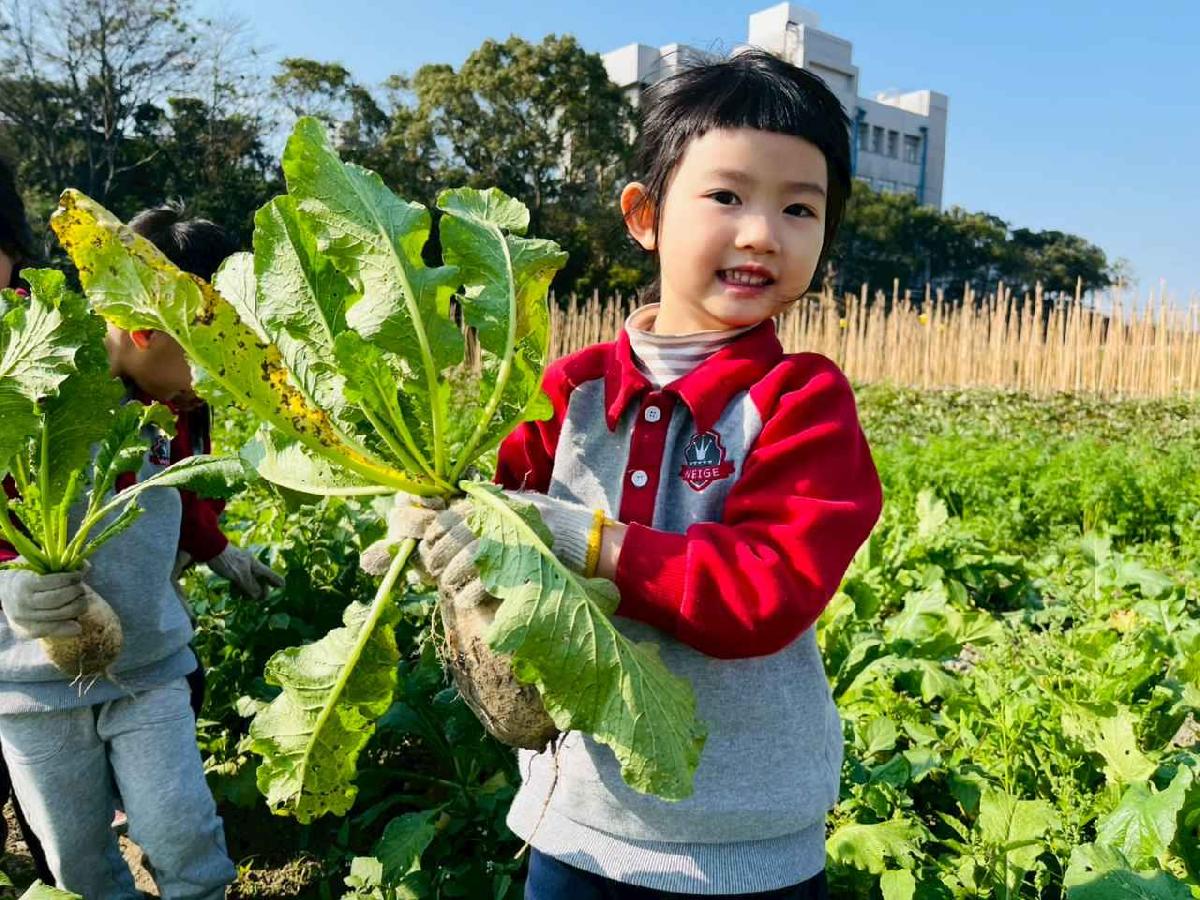 line_album_永哥農莊_260109_83