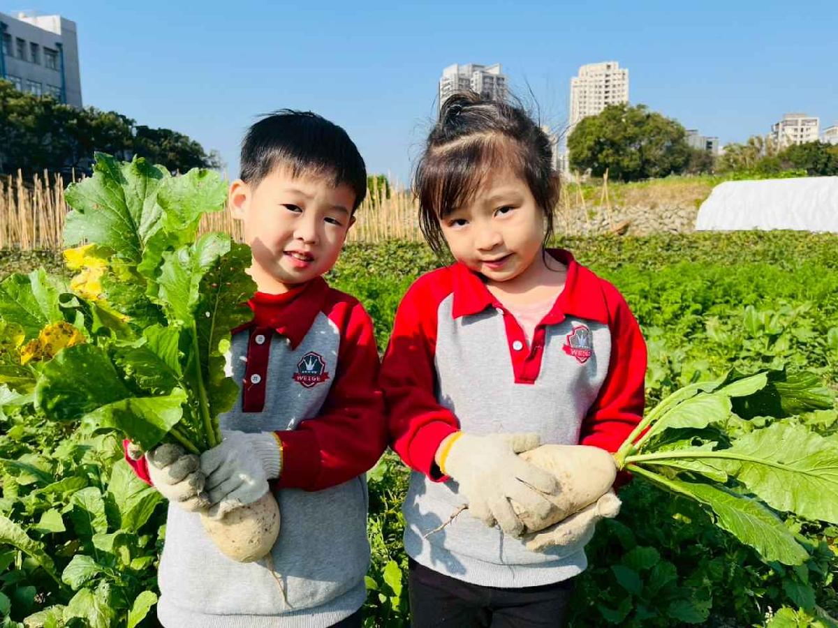 line_album_永哥農莊_260109_86