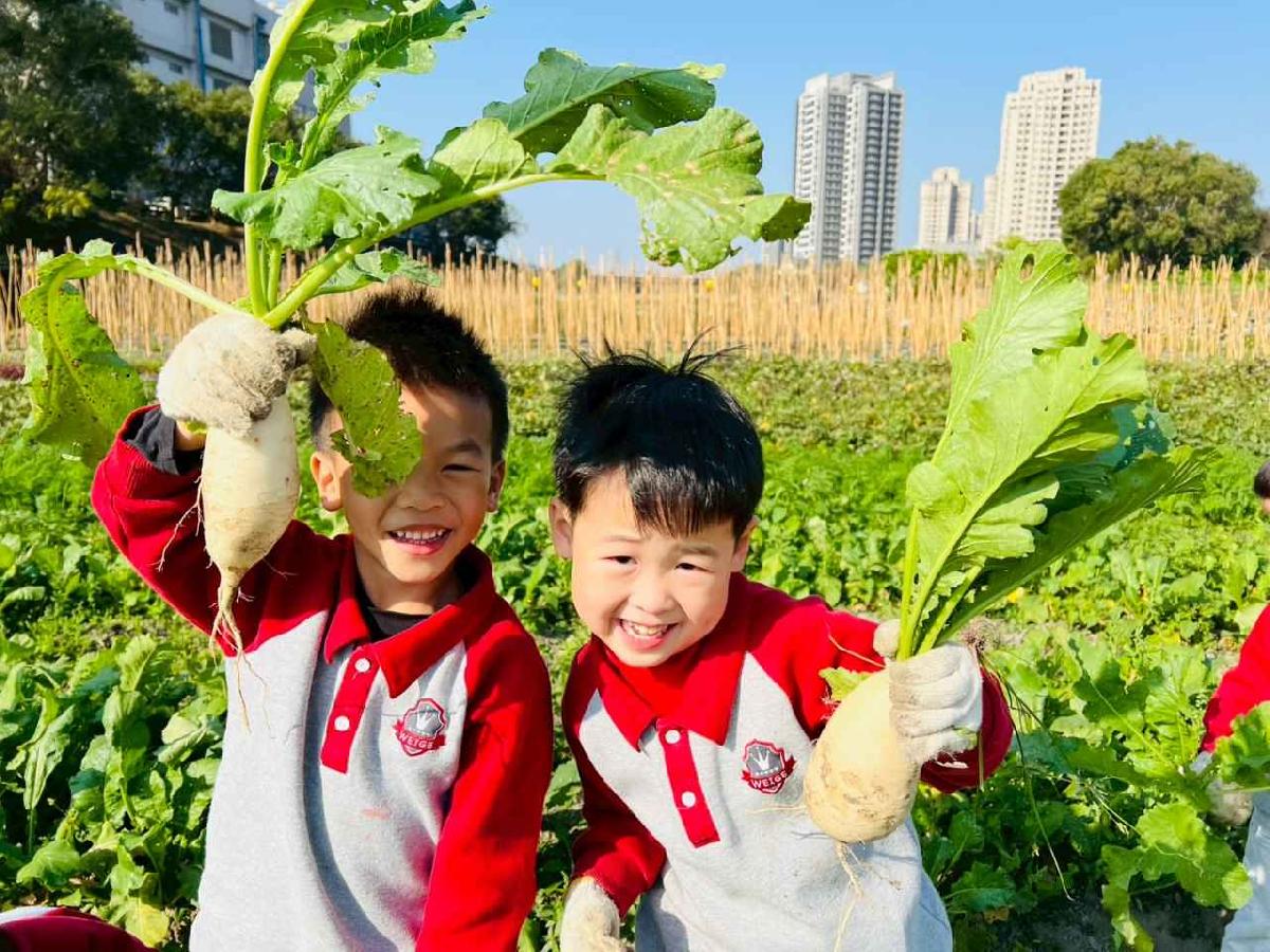 line_album_永哥農莊_260109_208